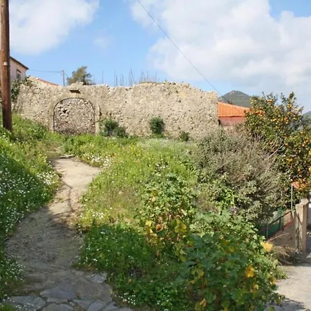 Lejlighed Artist Stone House