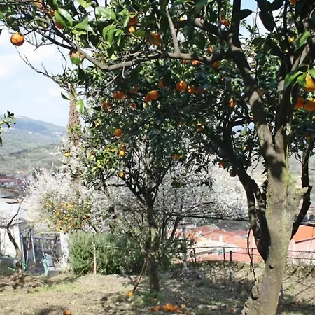 Apartmán Artist Stone House